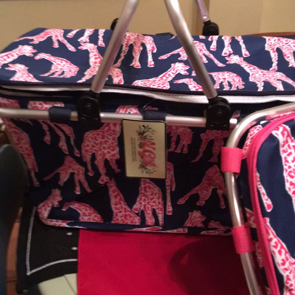 Insulated Pik Nik Baskets